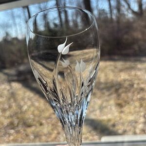 Pisa by DaVinci Crystal, Floral Etched tulip stemmed water goblet crystal 8.5”